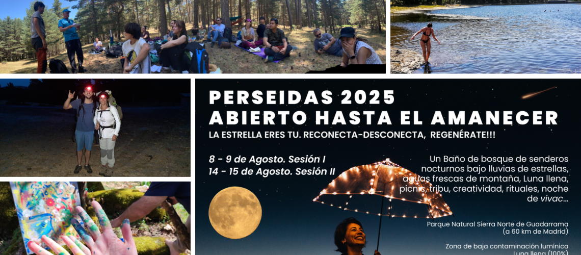 PERSEIDAS 2024 BIG (5)